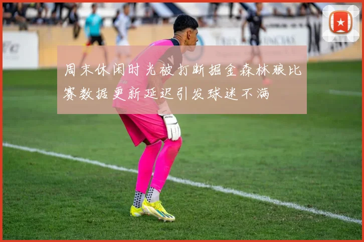 周末休闲时光被打断掘金森林狼比赛数据更新延迟引发球迷不满